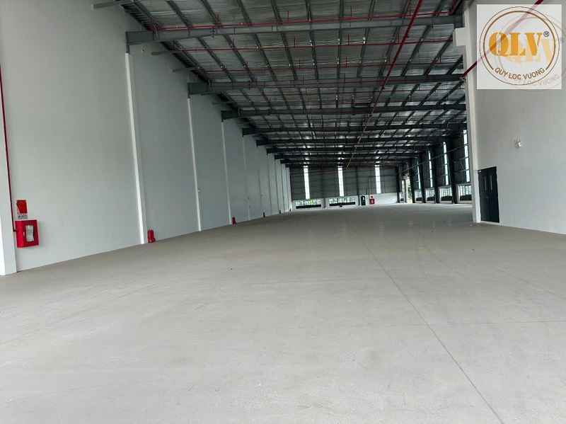 Ảnh đại diện
