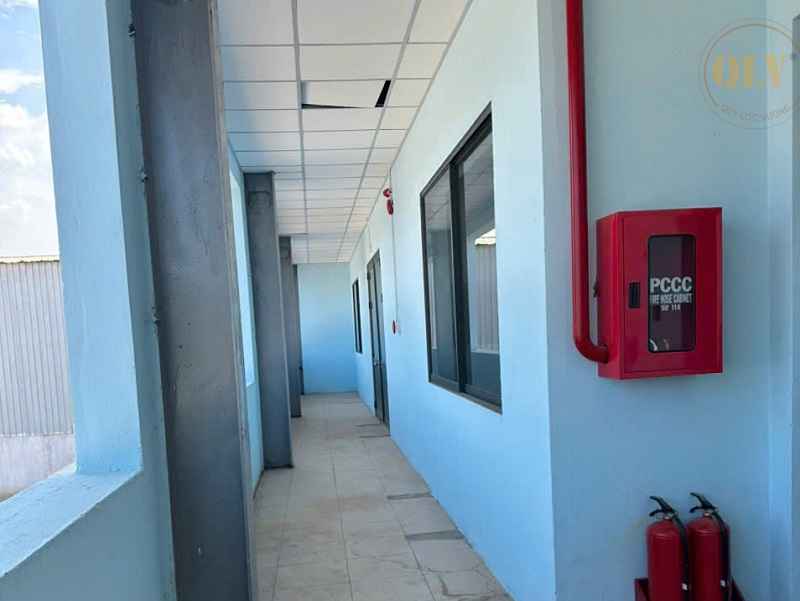 平阳省工厂出租，大面积，配套办公室