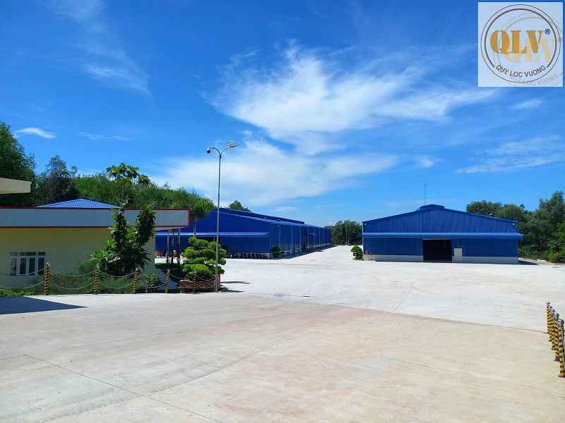 越南平阳省土地及厂房出售，配套设施齐全